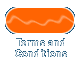 Terms and Conditions